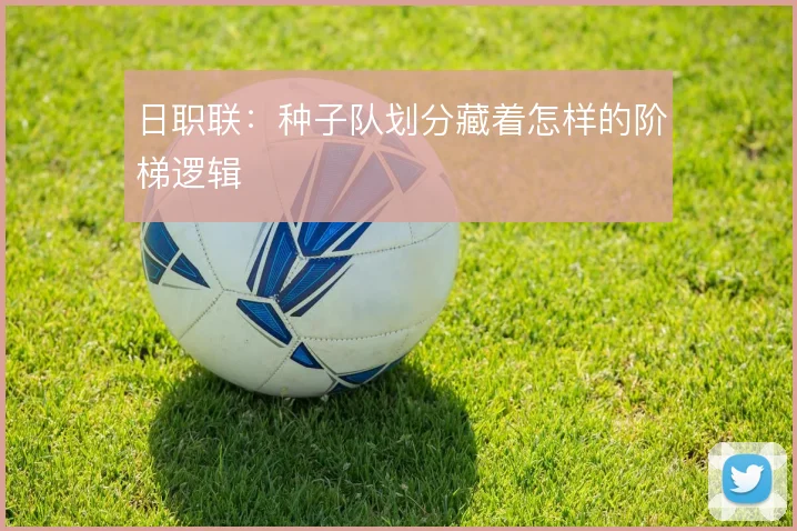 日职联：种子队划分藏着怎样的阶梯逻辑